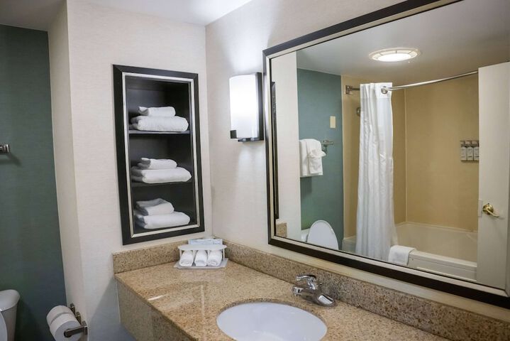 1 King Bed Suite (21 of 23)