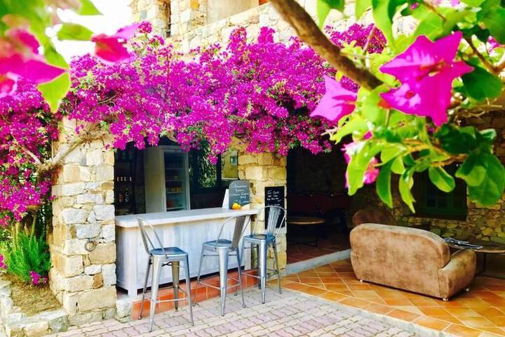 Terrace/Patio 42 of 113