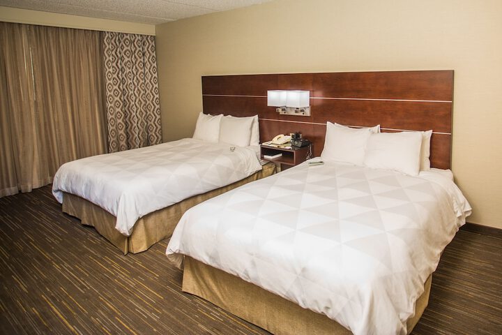2 Queen Beds (6 of 6)