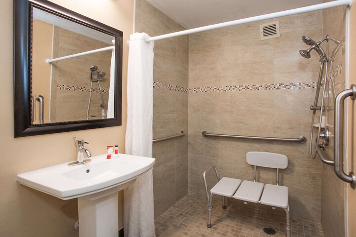1 Queen Bed Accessible (6 of 10)