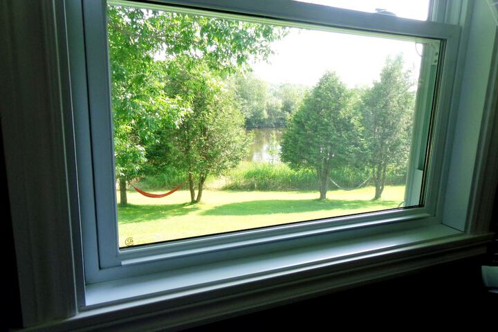 View from room