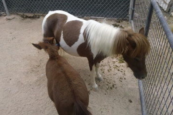 Childrens Activities 38 of 145