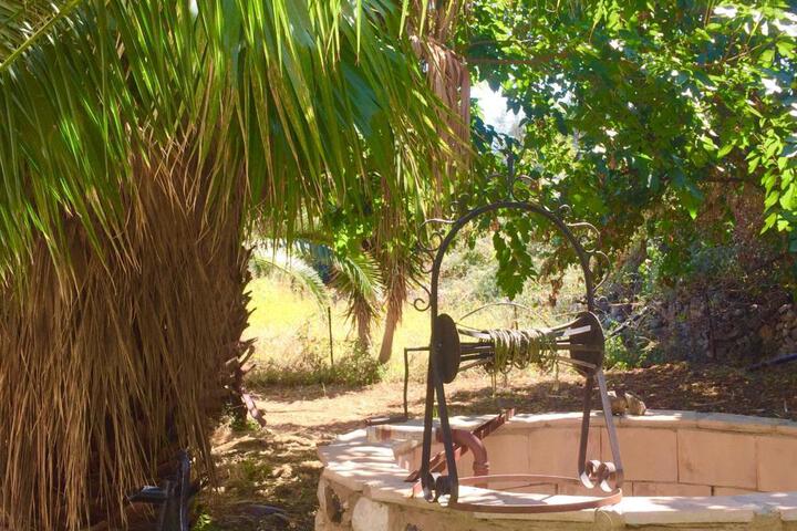 General 20 of 48