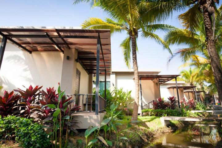 General 2 of 17