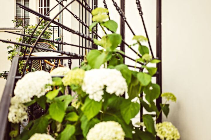 Terrace/Patio 45 of 81