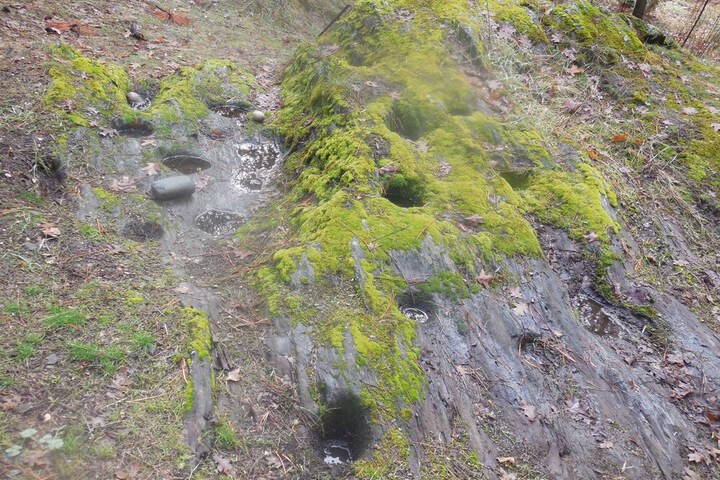 Property Grounds 19 of 40