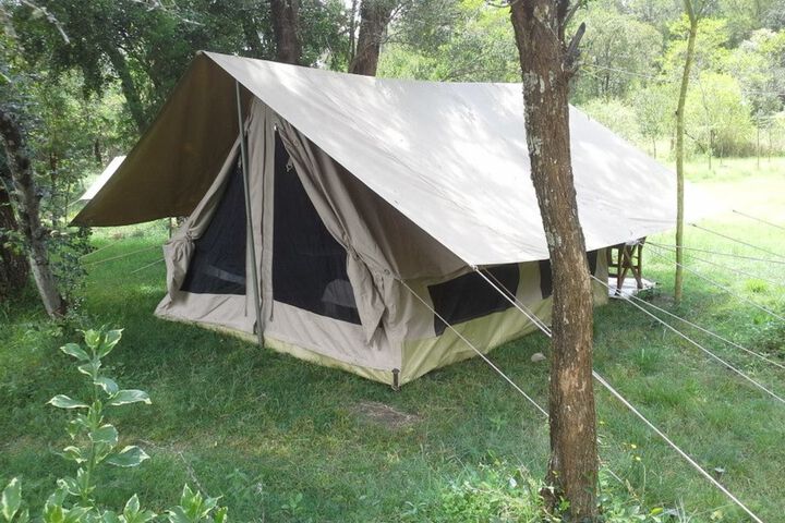 Room 4 of 8