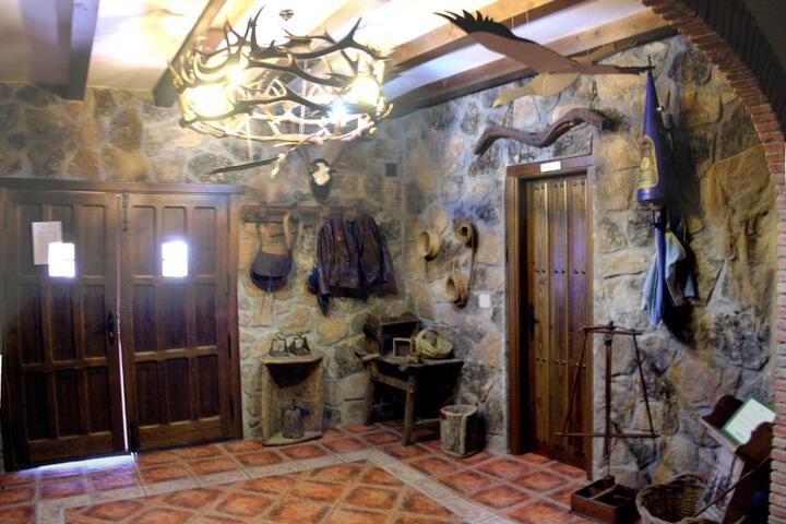 Photo 19