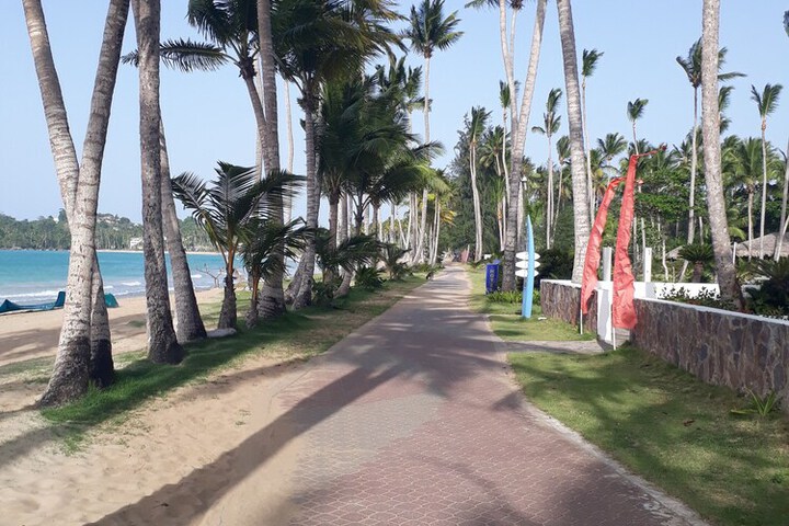 Beach 66 of 79