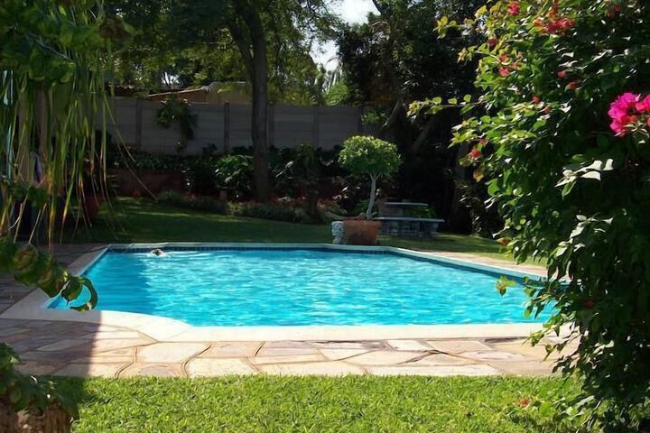 Hotel Pool