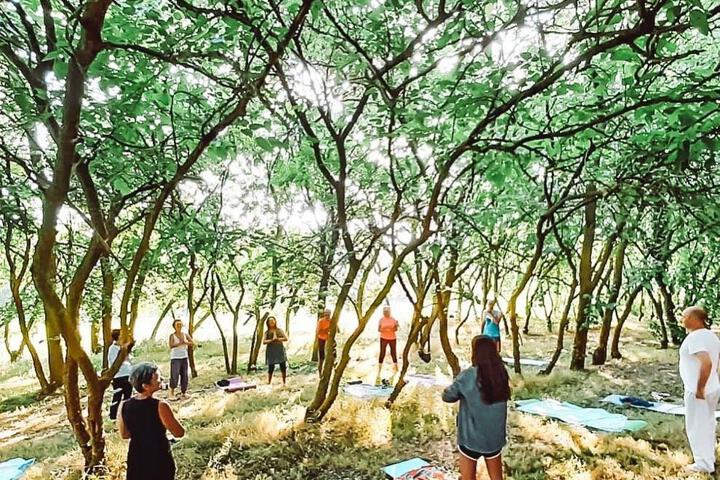 Spa and Wellness Pictures