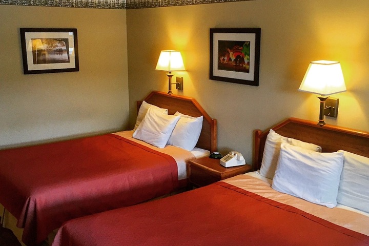 2 Queen Beds (8 of 21)