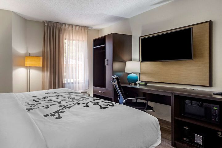 1 King Bed Accessible (6 of 8)