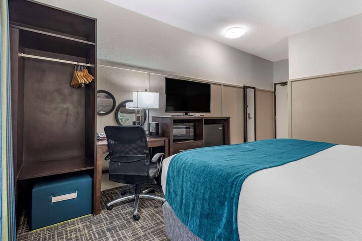 1 King Bed (5 of 9)