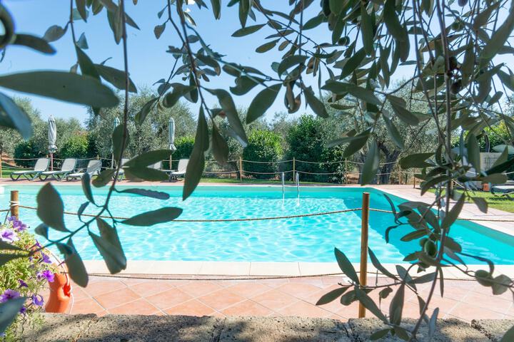 Pool 115 of 143
