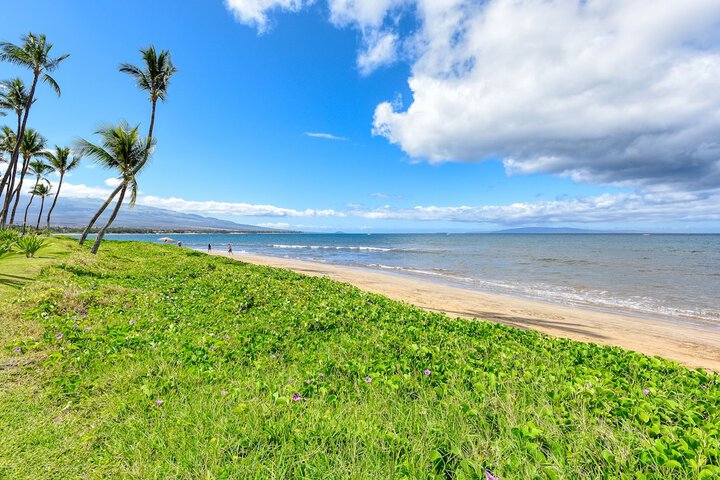 Beach 65 of 78