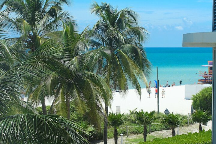 View from room