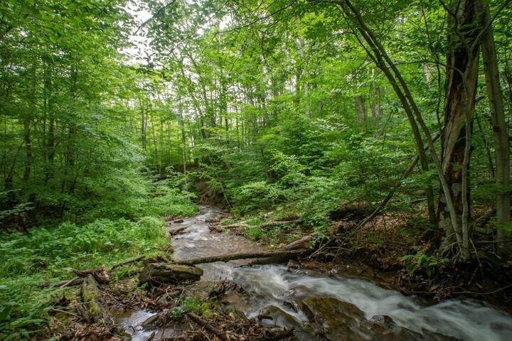 Property Grounds 9 of 15