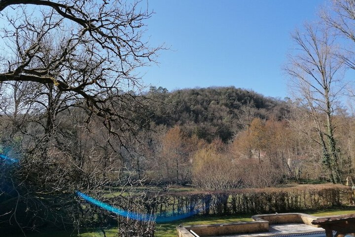 Photo 17