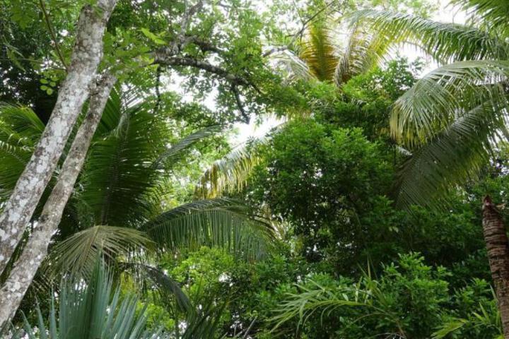 Photo 24