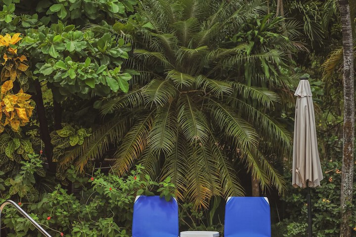 Pool 41 of 55