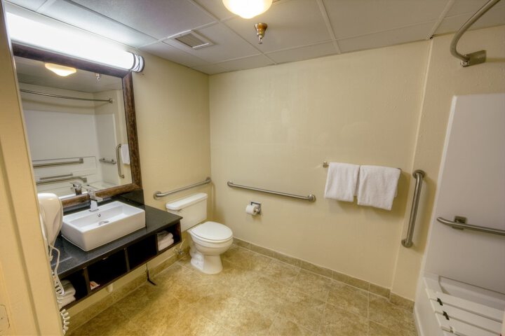 ADA Accessible Deluxe King (3 of 12)