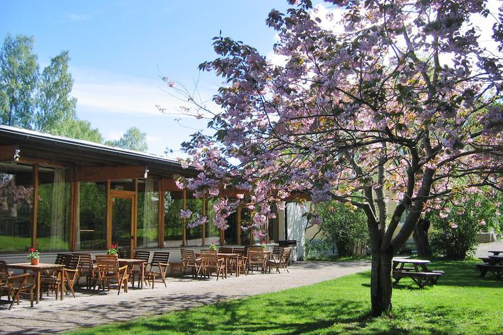 Restaurants