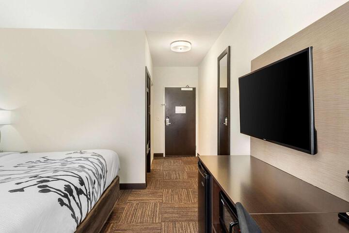 1 King Bed (5 of 13)