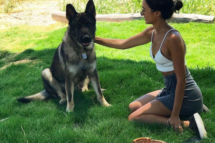 Pet Friendly 41 of 126