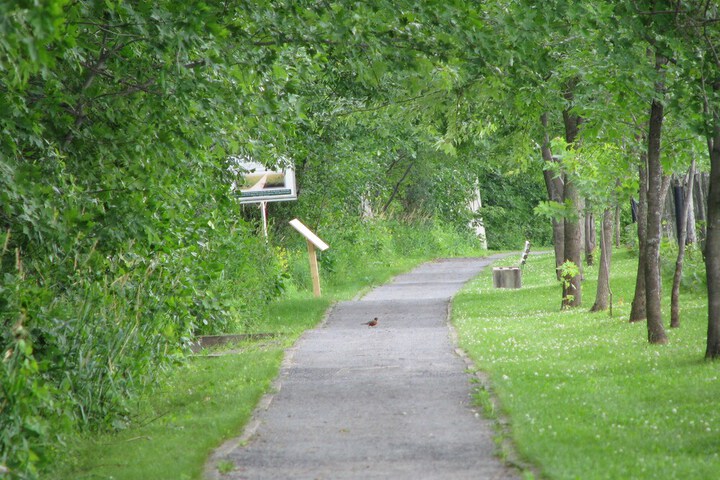 Outdoor Activities 107 of 136