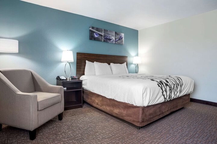 1 King Bed (14 of 18)