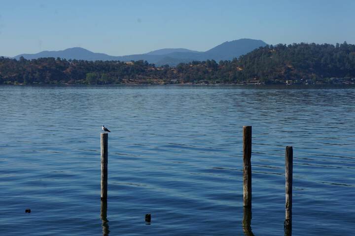 Lake