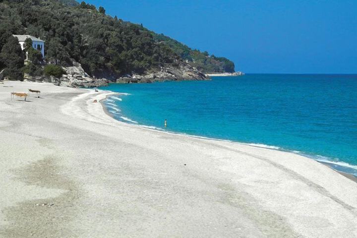 Beach 52 of 87