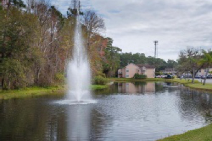 Property Grounds 7 of 24