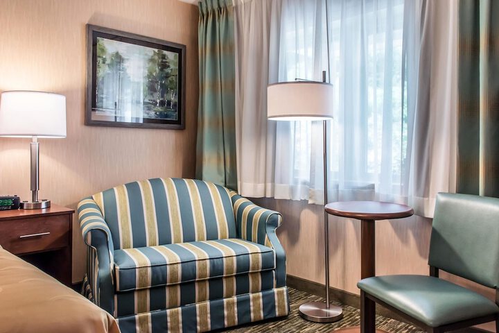 1 King Bed Business Room (8 of 12)