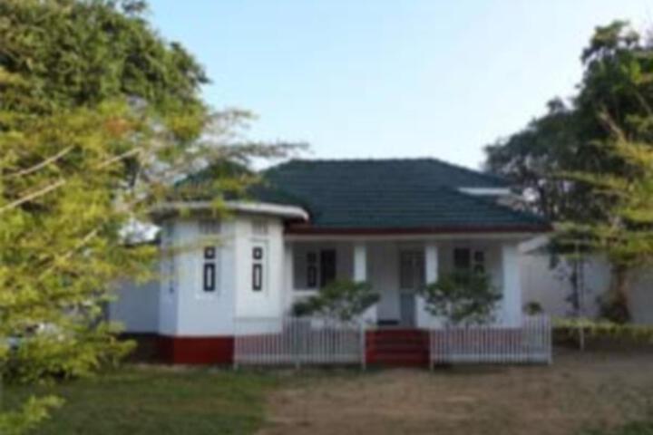 Safari Mansion