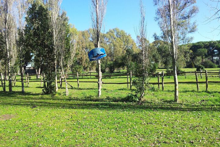 Property Grounds 18 of 23