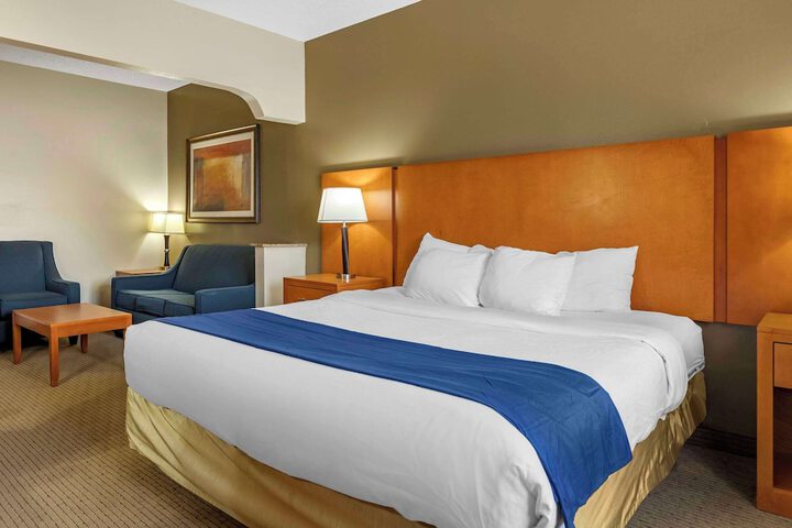 Suite King Bed Accessible (16 of 17)
