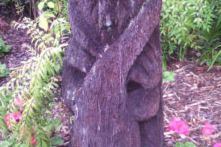 Photo 27