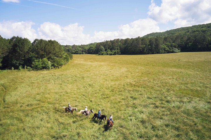 Horseback riding