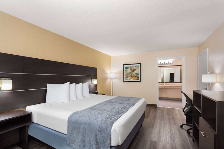 1 King Bed Mobility Hearing Impaired Accessible Room Roll in Shower (1 of 24)