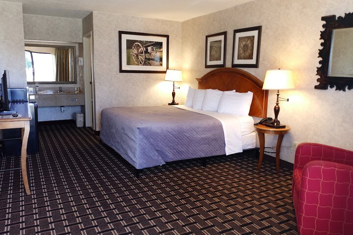 1 King Bed (8 of 13)