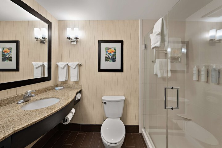 Bathroom shower