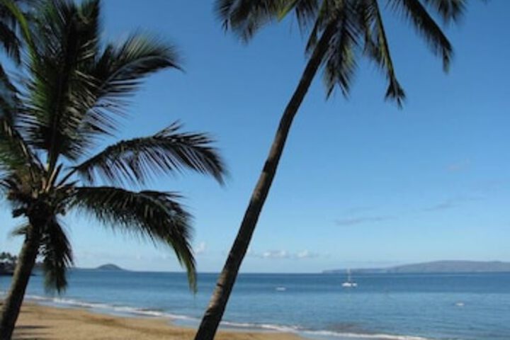 Maui Vista 3301 Condo in Kihei, HI
