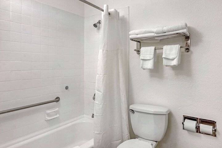 Standard King Bed Accessible (1 of 13)