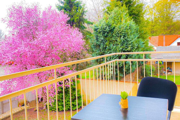 Terrace/Patio 12 of 12
