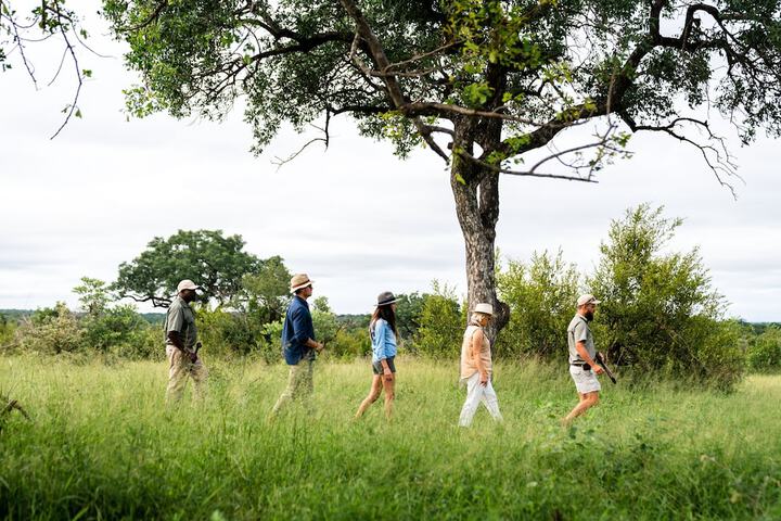 Game viewing