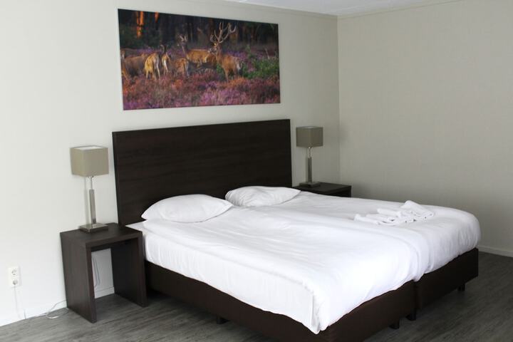 Room 12 of 31
