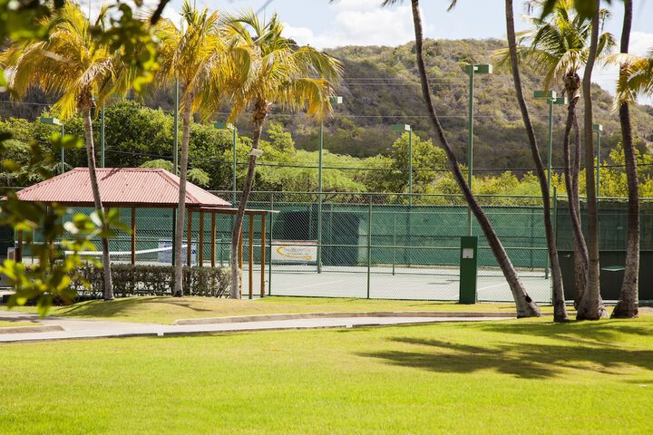 Tennis court