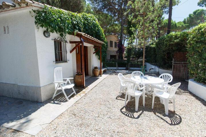 Calsina Baix 2H
